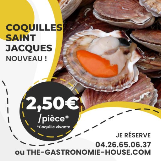 coquilles